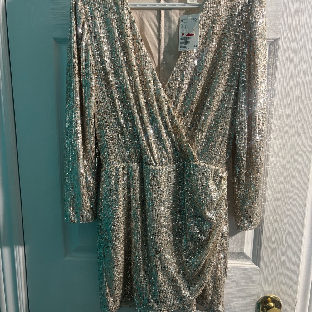 H&M Silver Sequin Dress
